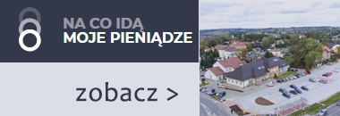 Na co idą moje pieniądze?